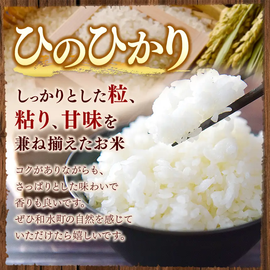 【 新米 予約 】 令和8年産 熊本県産 ひのひかり 白米 25kg 米 こめ