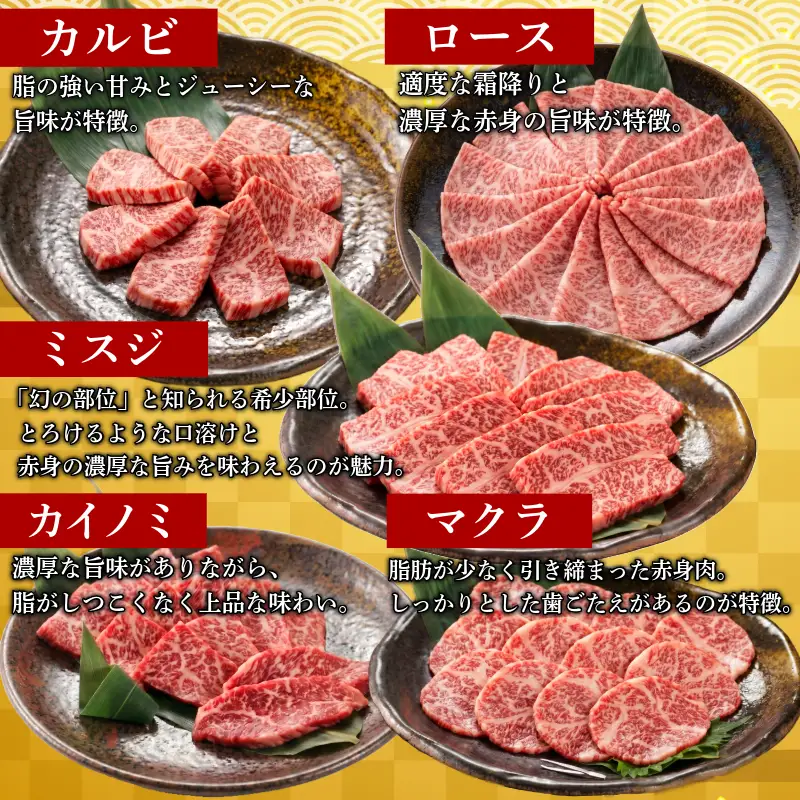阿波牛 食べ比べ 13種 焼肉 セット 希少部位 入り 1.2kg 赤身 霜降り