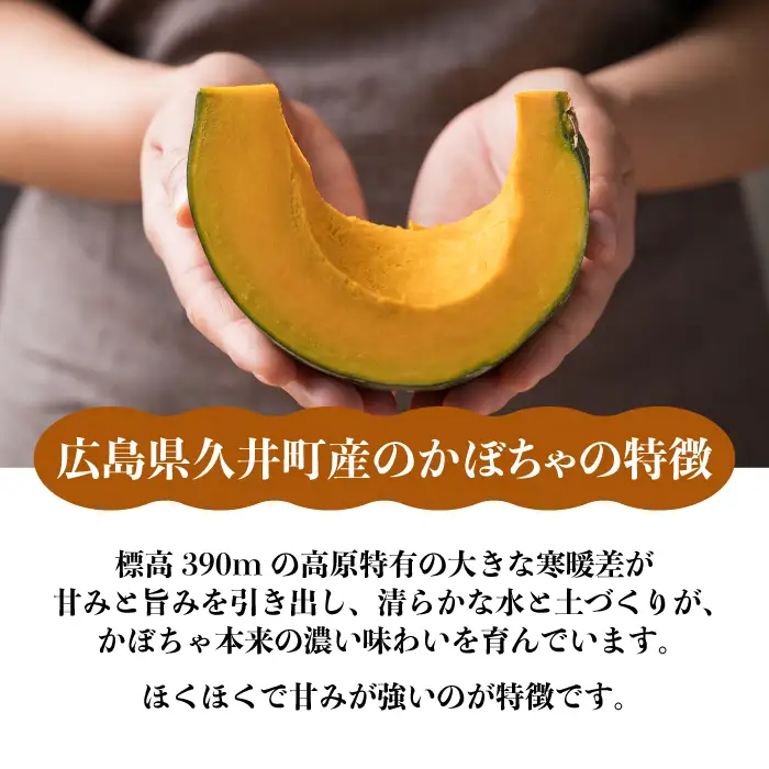 【先行受付】かぼちゃ「ほっこり美人」10kg（5～6玉） 2026年11月下旬より順次発送 広島県三原市久井町産 清流の郷 泉 カボチャ 南瓜 野菜 煮物 サラダ 196004