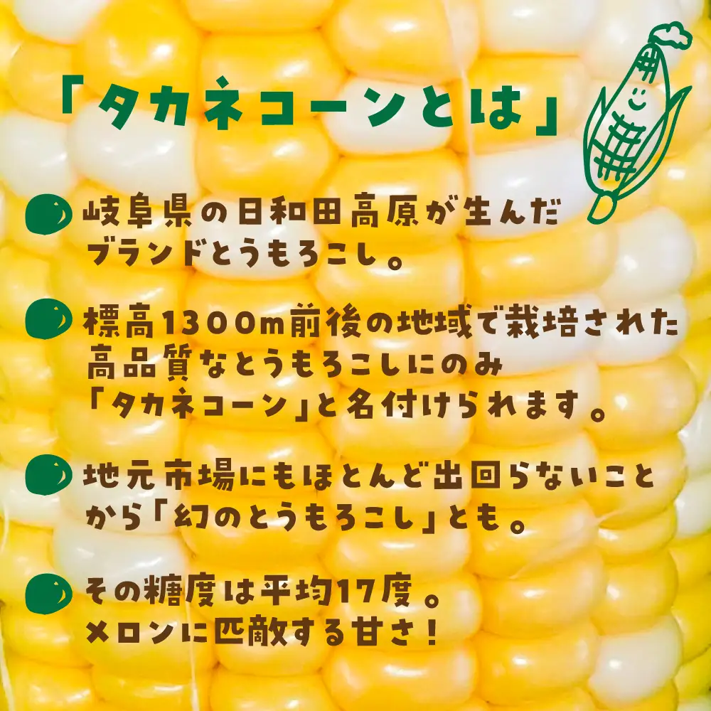 【先行予約】  幻のとうもろこし タカネコーン 6本入 とうもろこし トウモロコシ コーン 糖度 甘い 限定 たかねコーン 飛騨高山産 夏 野菜 飛騨 岐阜 数量限定  BA014