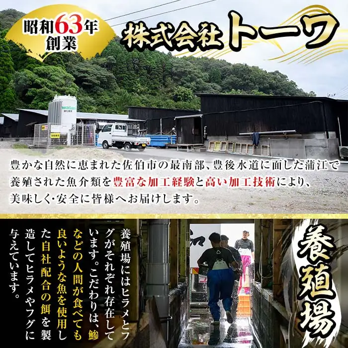 ＜訳あり＞ 生簀直送 とらふぐ 刺し身 セット (刺し身×3皿・ヒレ×10g) 魚 ふぐ 河豚 刺身 さしみ 小分け 冷凍 瞬間凍結 佐伯 養殖 国産 【EA34】【トーワ】