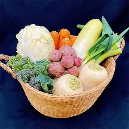 【毎月定期便】【フードロス対応・規格外野菜利用】　オーガニック野菜　シェフSセット全12回【配送不可地域：離島・北海道・沖縄県・四国・九州】【4003730】