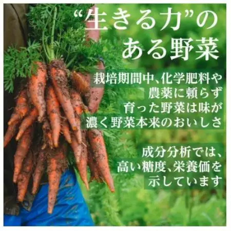 【毎月定期便】有機野菜　Lセット　オーガニック 野菜セット　有機JAS認証　しあわせ野菜畑　全12回【配送不可地域：離島・北海道・沖縄県・四国・九州】【4013497】