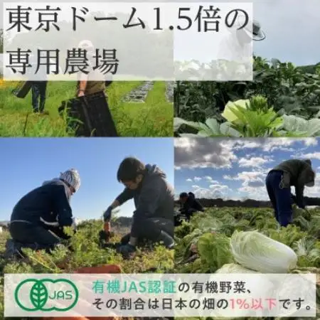 【毎月定期便】有機 野菜　Lセット　オーガニック野菜 セット　有機JAS認証　しあわせ野菜畑全6回【配送不可地域：離島・北海道・沖縄県・四国・九州】【4013498】