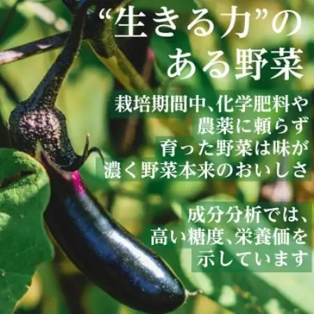 【毎月定期便】有機野菜　Mセット　オーガニック 野菜 セット　有機JAS　しあわせ野菜畑　全12回【配送不可地域：離島・北海道・沖縄県・四国・九州】【4013499】