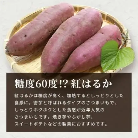紅はるか ＜5kg＞ 野菜 サツマイモ さつまいも 鹿児島県 A6-16【配送不可地域：離島】【1167022】