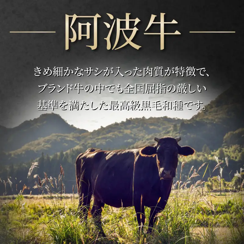 霜降り ブロック肉 500g 牛肉 国産 黒毛和牛 