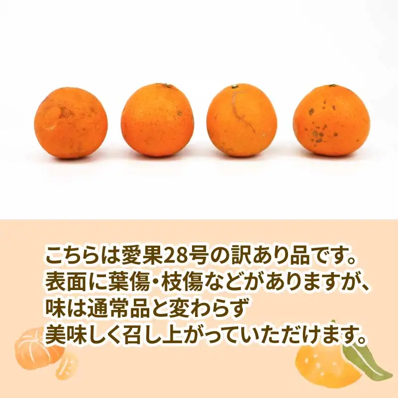 訳あり 愛果28号 ( 紅まどんな と同品種) 3kg 協徳ガーデン 紅まどんな B010-178017