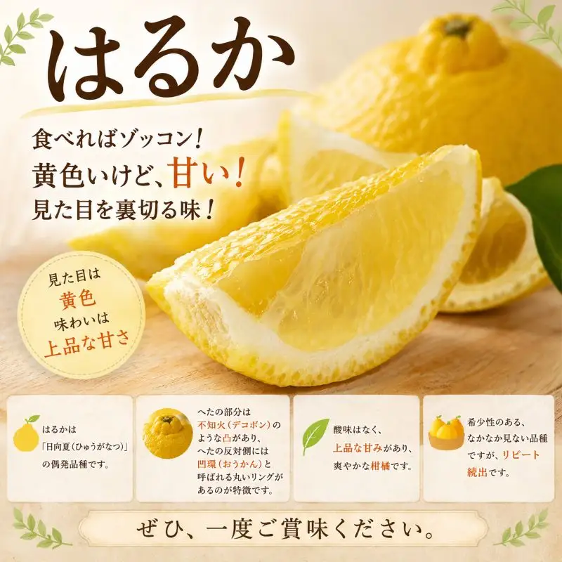 はるか 約5kg 家庭用 【2027年2月中旬頃から順次発送】 はるか 【DRM009】