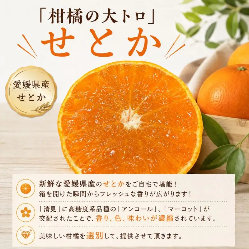 せとか 約5kg 家庭用 【2027年2月中旬頃から順次発送】 せとか 【DRM012】