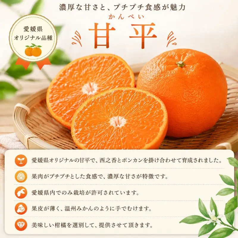 甘平 約3kg 贈答用 秀品 化粧箱 【2027年2月上旬頃から順次発送】 かんぺい 【DRM015】