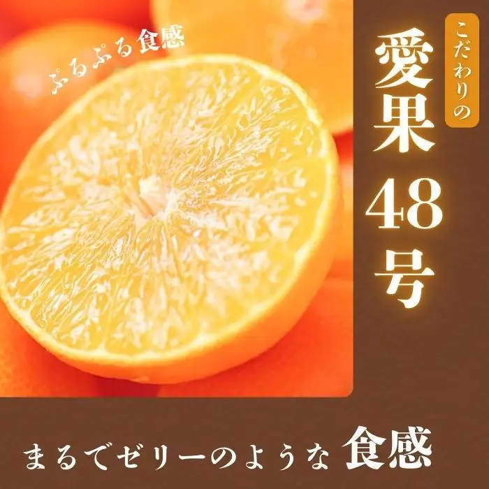 【先行予約】訳あり プリンセス 愛果48号 3kg サイズミックス 愛媛県 愛南町 清水農園