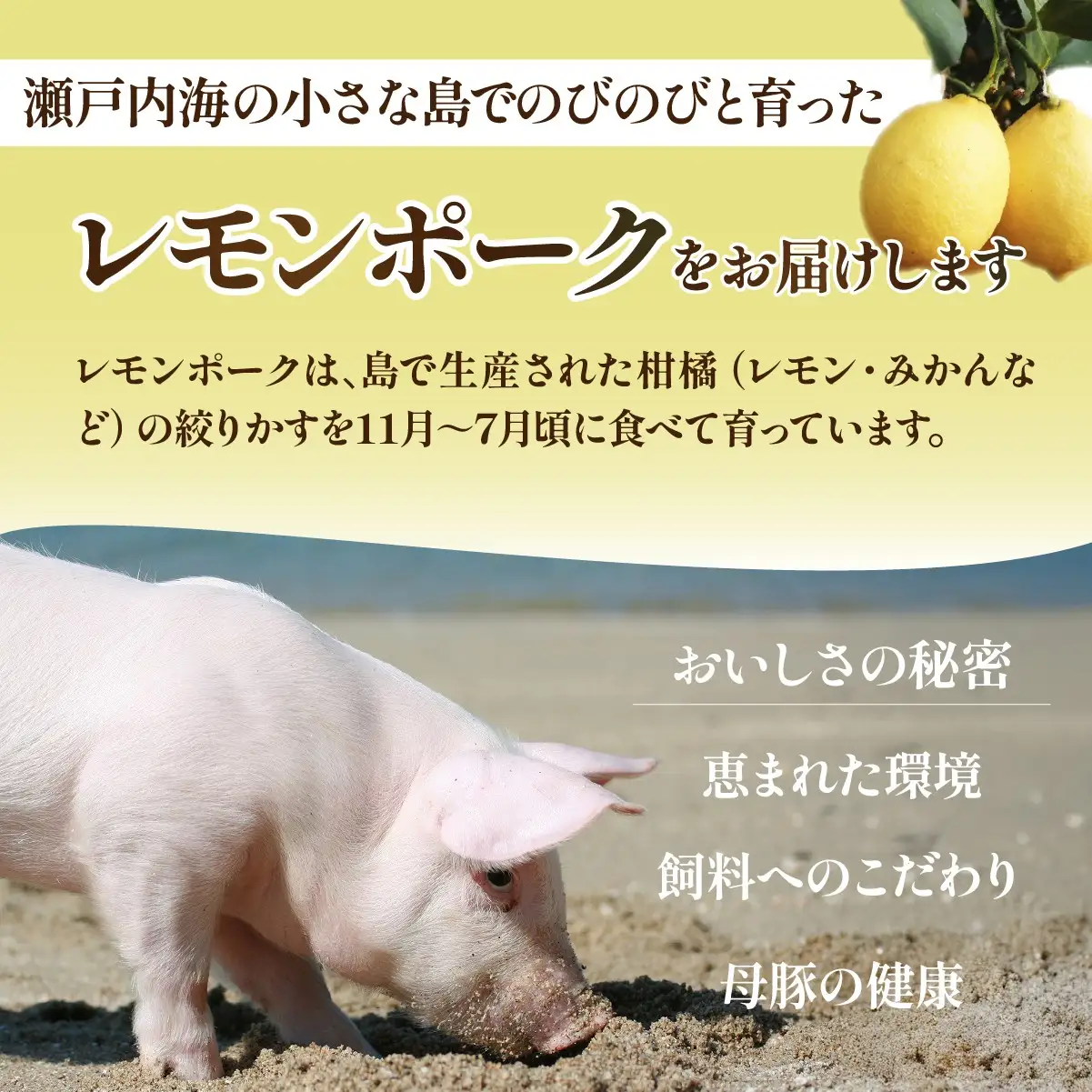 レモンポーク ハンバーグ 200g×2個×3P 合計1.2kg 豚肉 ハンバーグ 1200g 冷凍 おかず お弁当 小分け 真空パック 愛媛県 上島町