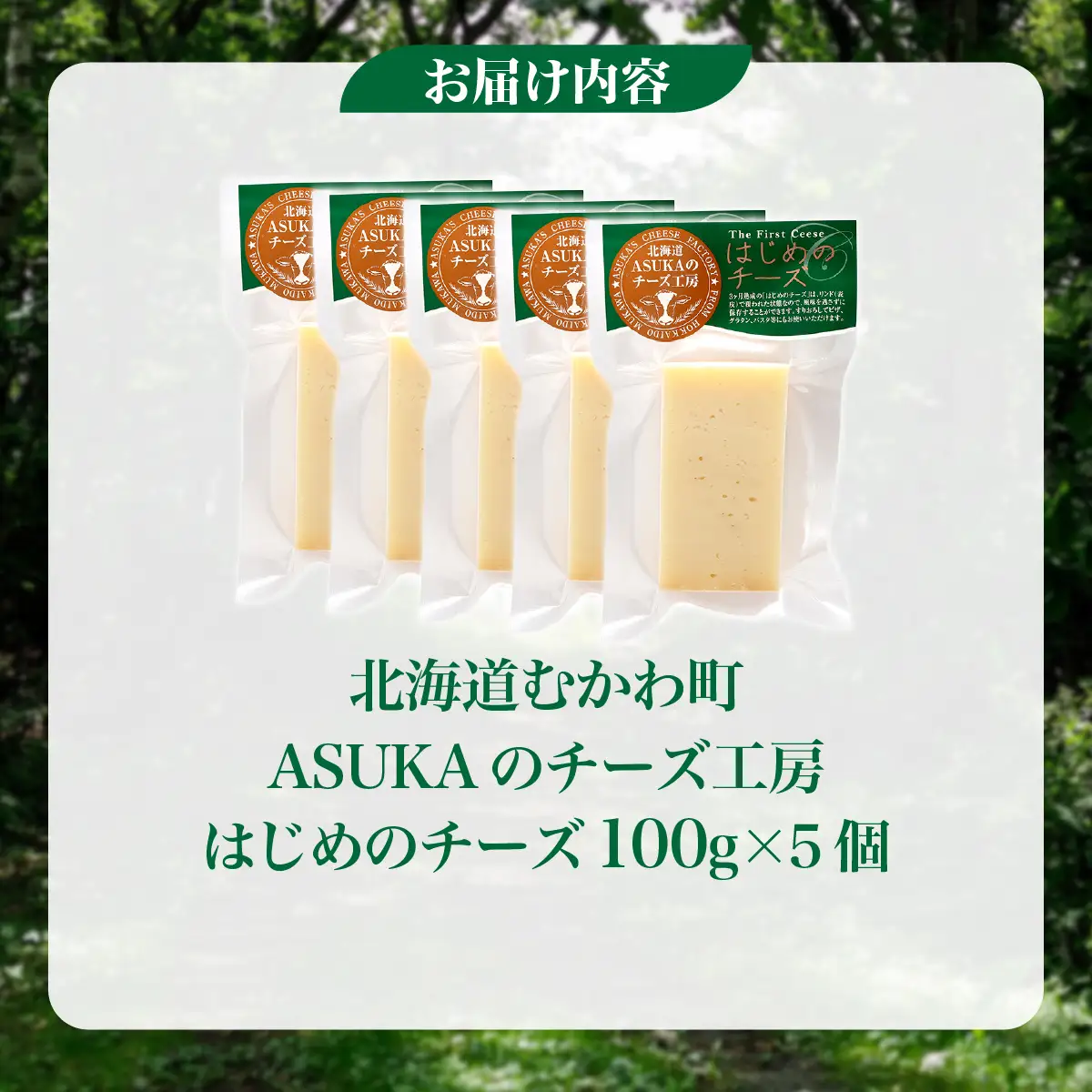 北海道 はじめのチーズ(100g)5個セット MKWA005