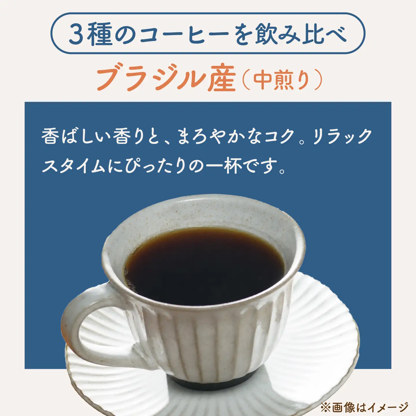 【粉タイプ】コーヒー 飲み比べ 3種セット 約600g(各200g)ブラジル・エチオピア・コロンビア 有機栽培 珈琲 豆 ギフト お取り寄せ【THE FIVE☆BEANS】[ASCS007]