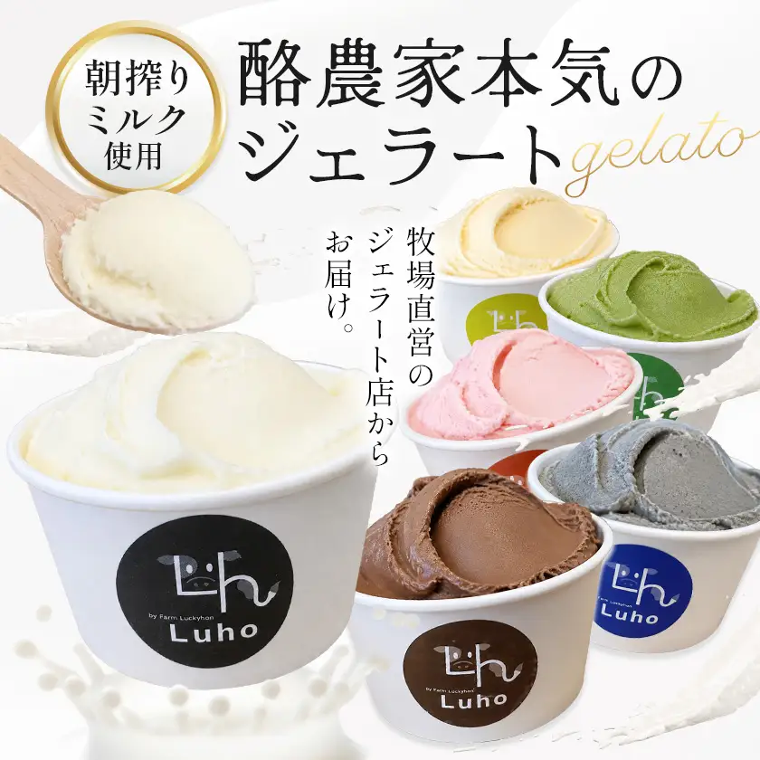 ジェラート 酪農家本気のジェラート 12個 