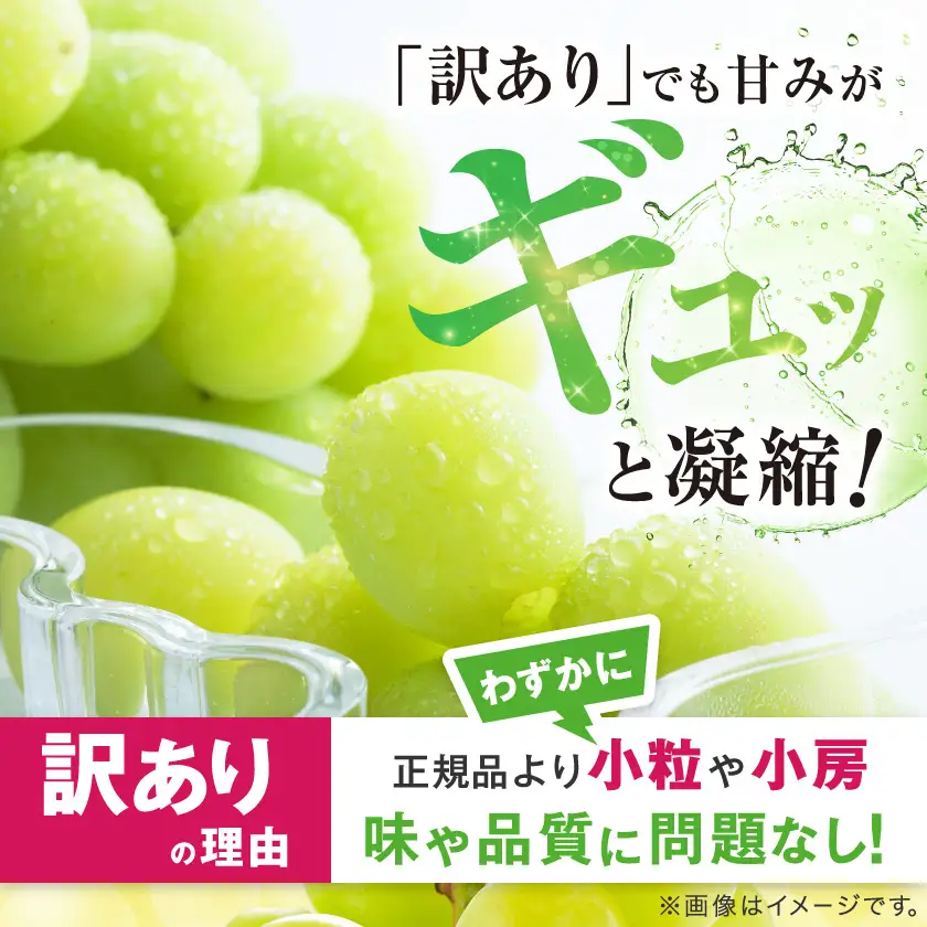 【2026年発送】【訳あり】JA中野市のシャインマスカット　約5kg(9房～10房)【配送不可地域：離島】【1759343】