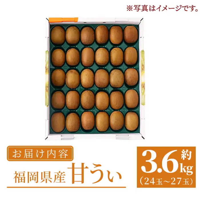 ≪先行予約受付中！2026年10月下旬以降順次発送予定≫福岡県産 甘うぃ(計3.6kg・24玉～27玉)キウイ あまうぃ 果物 くだもの フルーツ 青果 青果物 生 旬 おやつ デザート あまい 食物繊維 美容 冷蔵【錦屋商事】as48-003