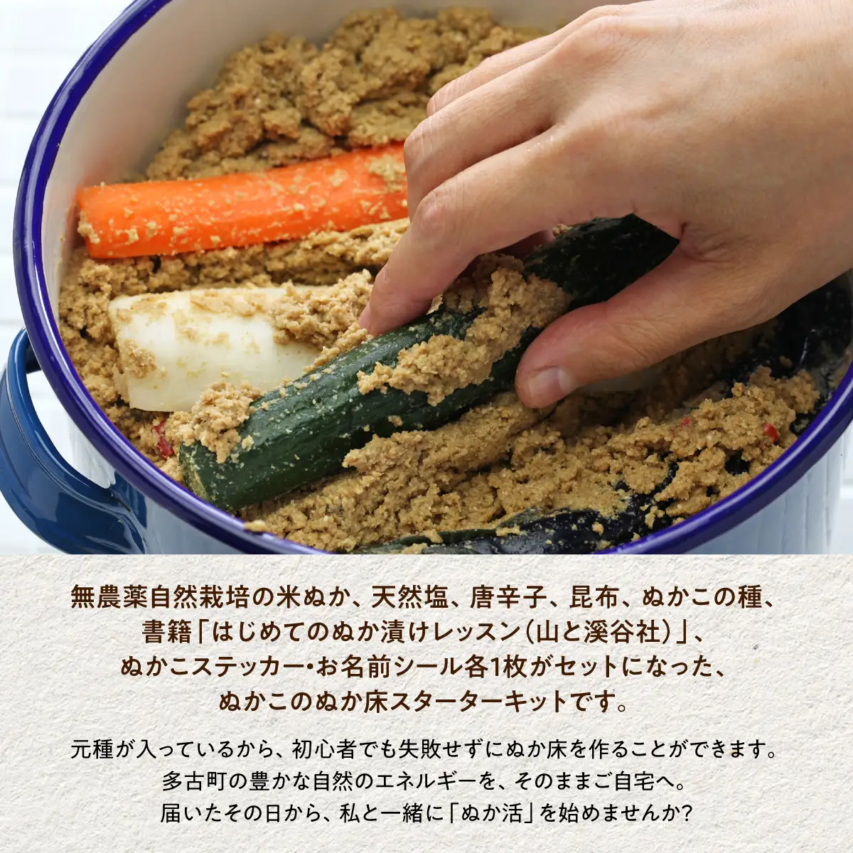 【2026年11月以降発送】ぬかこのぬか床スターターキット TAKAG001
