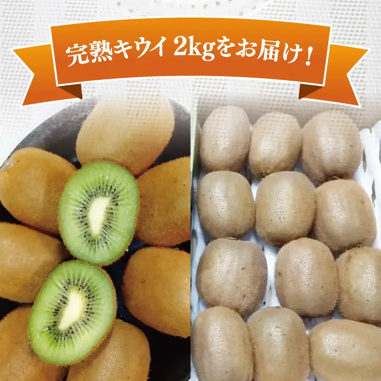 【先行予約】【12月上旬より発送開始】春日部完熟キウイ2kg【埼玉県 春日部市 キウイ キウイフルーツ 2kg 完熟 国産 フルーツ 果物 ヘイワード】(BG004）
