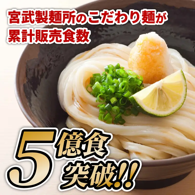 【定期便3回】うどん 香川 元祖さぬきゆでうどん 20人前  宮武讃岐製麺所 