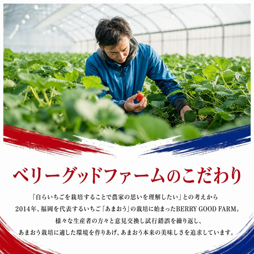 いちご あまおう 約250g×4P 2027年4月～発送