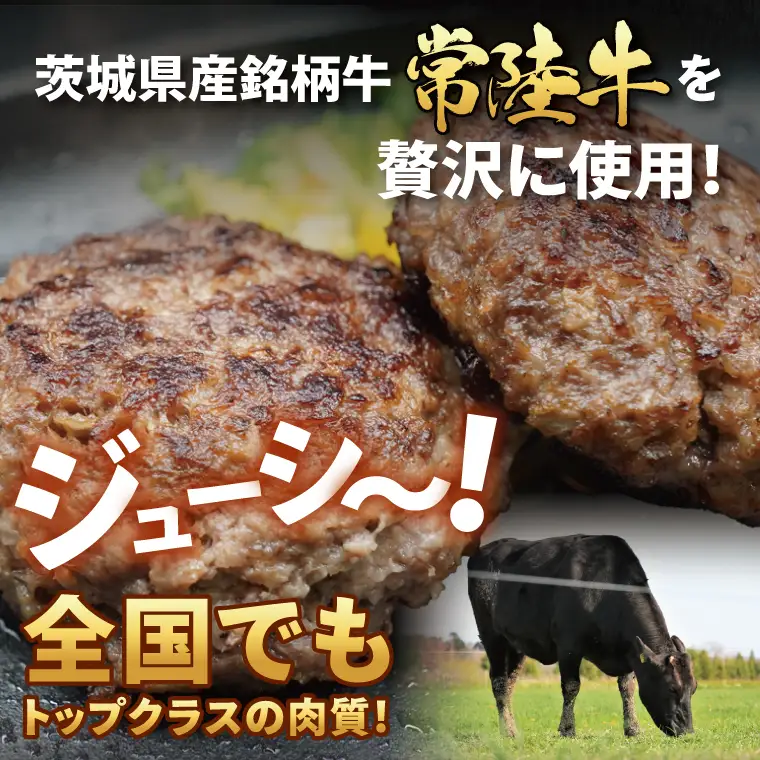 【常陸牛】生ハンバーグ 150g×10個 茨城県共通返礼品｜茨城県 大子町 牛肉 国産 ブランド牛 黒毛和牛 惣菜 おかず 贈り物 ギフト （DJ002）