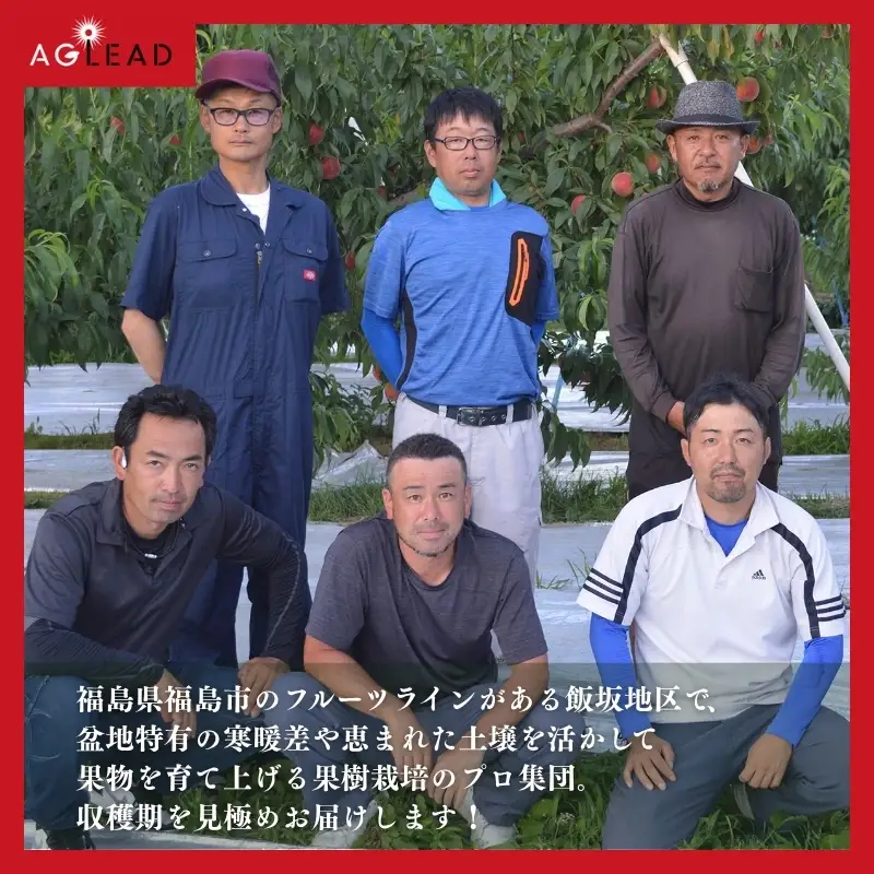 No.3374 アグリード 福島市産 りんご（サンフジ）約1.5kg（3～6玉）【2026年発送】