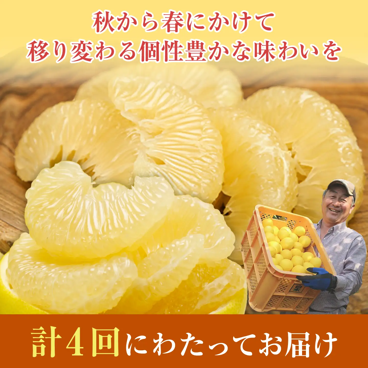 【4回定期便】バラエティ文旦 贅沢コース〈水晶文旦・温室文旦・贈答品 土佐文旦 〉/ 文旦 ぶんたん ブンタン 土佐文旦 水晶文旦 温室文旦 柑橘 フルーツ 果物 くだもの 定期便【白木果樹園】[BQAI061]