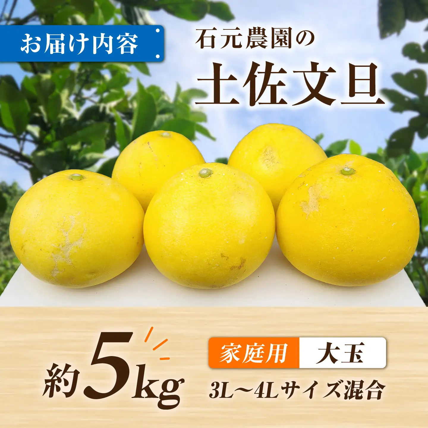 【先行予約】石元農園の土佐文旦 家庭用 大玉 約5キロ ＜2027年2月～発送＞ /  5kg 3Lサイズ 4Lサイズ 文旦 ぶんたん 柑橘 かんきつ みかん フルーツ デザート 果物 高知 【石元農園】[BQBH005]
