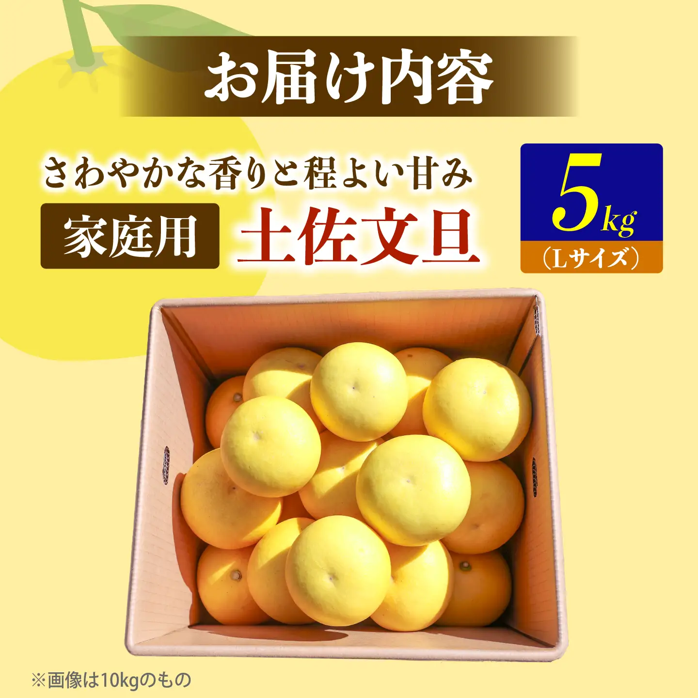 【先行予約】土佐文旦の創始 宮地文旦園の土佐文旦 小玉(L)約5キロ〈2027年3月上旬?4月下旬〉くだもの 柑橘類 デザート ギフト 贈り物【宮地文旦園】[BQBP010]