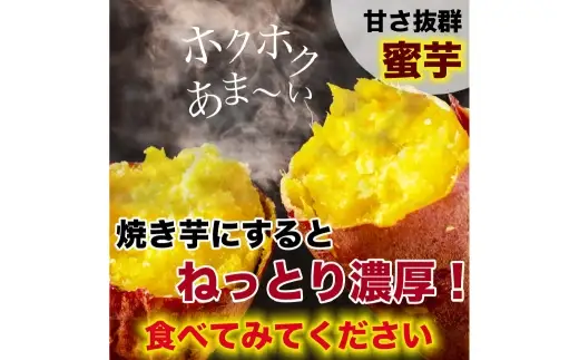 紅はるか 約5kg （ 9 ～ 37個 ） さつまいも サツマイモ 野菜 いも イモ やさい 焼き芋 芋 スイーツ 国産 熊本県産 【 2027年2月上旬から6月下旬発送予定 】