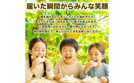 各種梨おまかせ （ 幸水、 豊水、 秋月、 新高、 新興、 秋麗、 甘太、 凛果、 にっこり、 愛宕 いずれか ） 約5kg ( 6 ～ 18玉 ) 梨 なし ナシ 果物 くだもの フルーツ 果実 果汁 果肉 国産 熊本県産 【 2026年8月上旬から10月上旬発送予定 】
