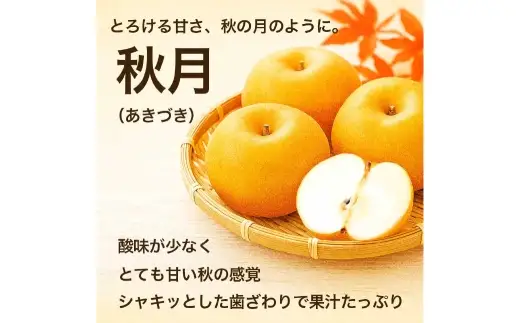 秋月梨 約5kg （ 6 ～ 18玉 ） 梨 なし ナシ 果物 くだもの フルーツ 果実 果汁 果肉 国産 熊本県産 【 2026年9月上旬から9月下旬発送予定 】