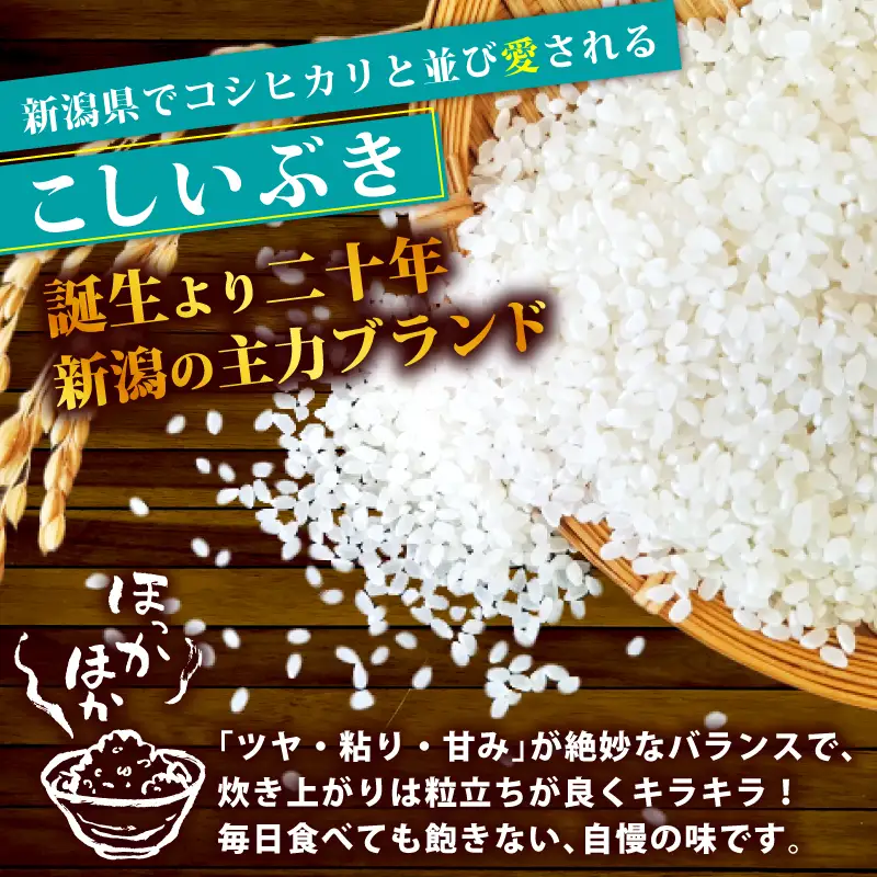 【令和8年産】 新潟県産 こしいぶき 10kg 5kg×2袋 単品 新発田産 新潟 ふるさと納税 米 お米 アグリ中俵 白米 米 お米 こめ コメ ライス ご飯 ごはん 美味しい 贈り物 国産 新潟県 新発田市 お取り寄せ 産地直送  【令和8年産 先行予約 2026年11月以降順次発送】nakatawaraKI008_01