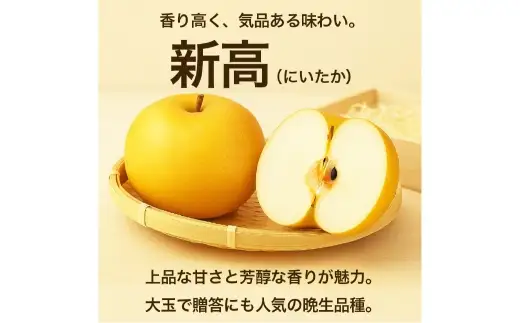 新高梨 約5kg （ 6 ～ 16玉 ） 梨 なし ナシ 果物 くだもの フルーツ 果実 果汁 果肉 国産 熊本県産 【 2026年9月上旬から10月上旬発送予定 】