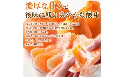 不知火 （ デコポン同品種 ） 12 ～ 24玉 約5kg デコポン 柑橘系 柑橘類 柑橘 果物 くだもの フルーツ 果実 果汁 果肉 国産 熊本県産 【 2027年2月上旬から4月上旬発送予定 】
