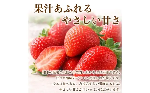 いちご 約1kg （ 250g × 4パック ） イチゴ 苺 果物 くだもの フルーツ 果実 果肉 国産 熊本県産 【 2027年1月上旬から2月上旬発送予定 】