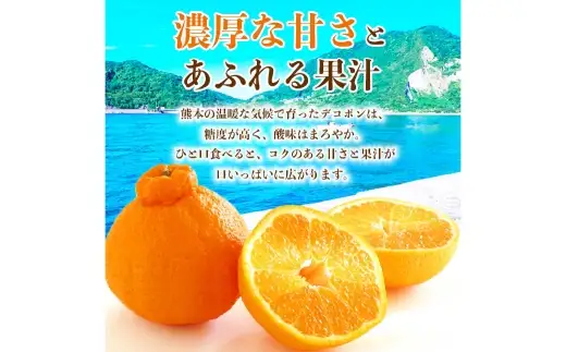 デコポン 12 ～ 24玉 約5kg 柑橘系 柑橘類 柑橘 果物 くだもの フルーツ 果実 果汁 果肉 国産 熊本県産 【 2026年12月上旬から2027年4月上旬発送予定 】