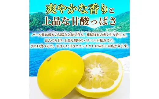 パール柑 約5kg 柑橘系 柑橘類 柑橘 果物 くだもの フルーツ 果実 果汁 果肉 国産 熊本県産 【 2027年3月上旬から3月下旬発送予定 】
