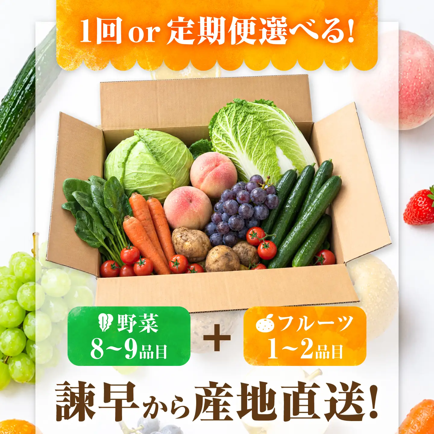 【12回定期便】【産地直送】長崎県諫早産 旬の野菜＆フルーツ詰め合わせ 9・11品目程度 季節のおまかせセット / 野菜 フルーツ 果物 セット 詰め合わせ 旬野菜セット 旬のフルーツ 旬 食べ比べ 産地直送 健康 / 諫早市 / 肥前グローカル株式会社[AHDI018]