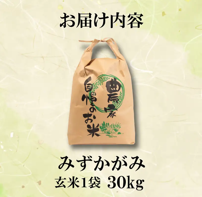 【先行予約】令和8年産 新米 みずかがみ 30kg 玄米 米 【KW028】 近江米