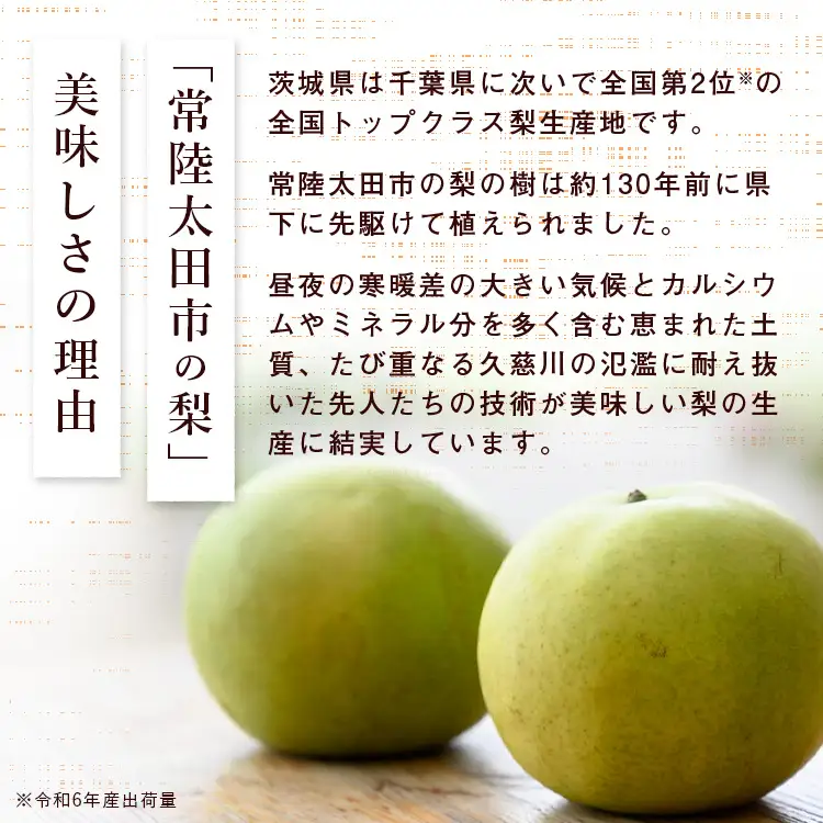 梨 食べ比べ 約3kg 3種類 梨