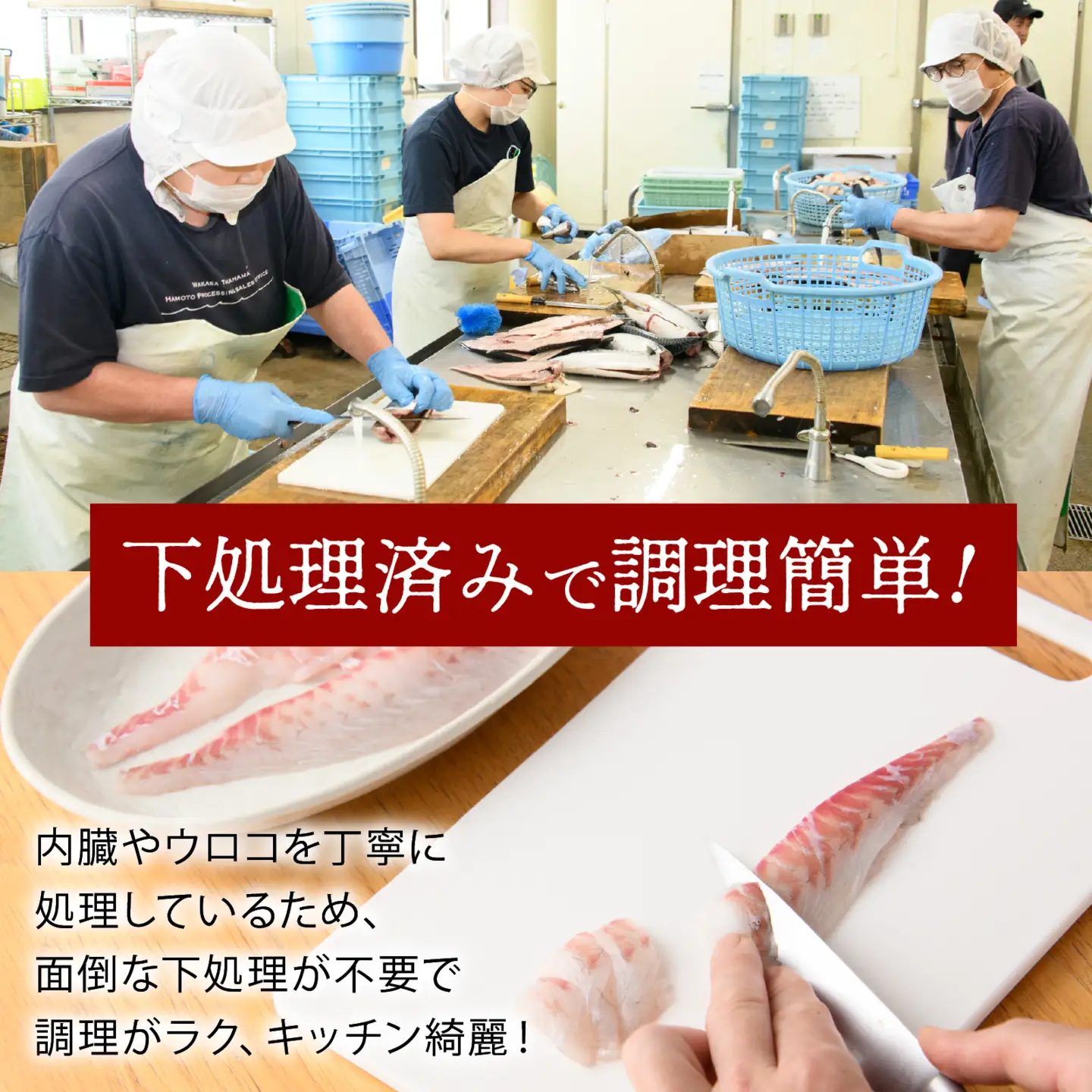 若狭湾鮮魚セットおまかせ2kg以上（4～5魚種）【11月発送】