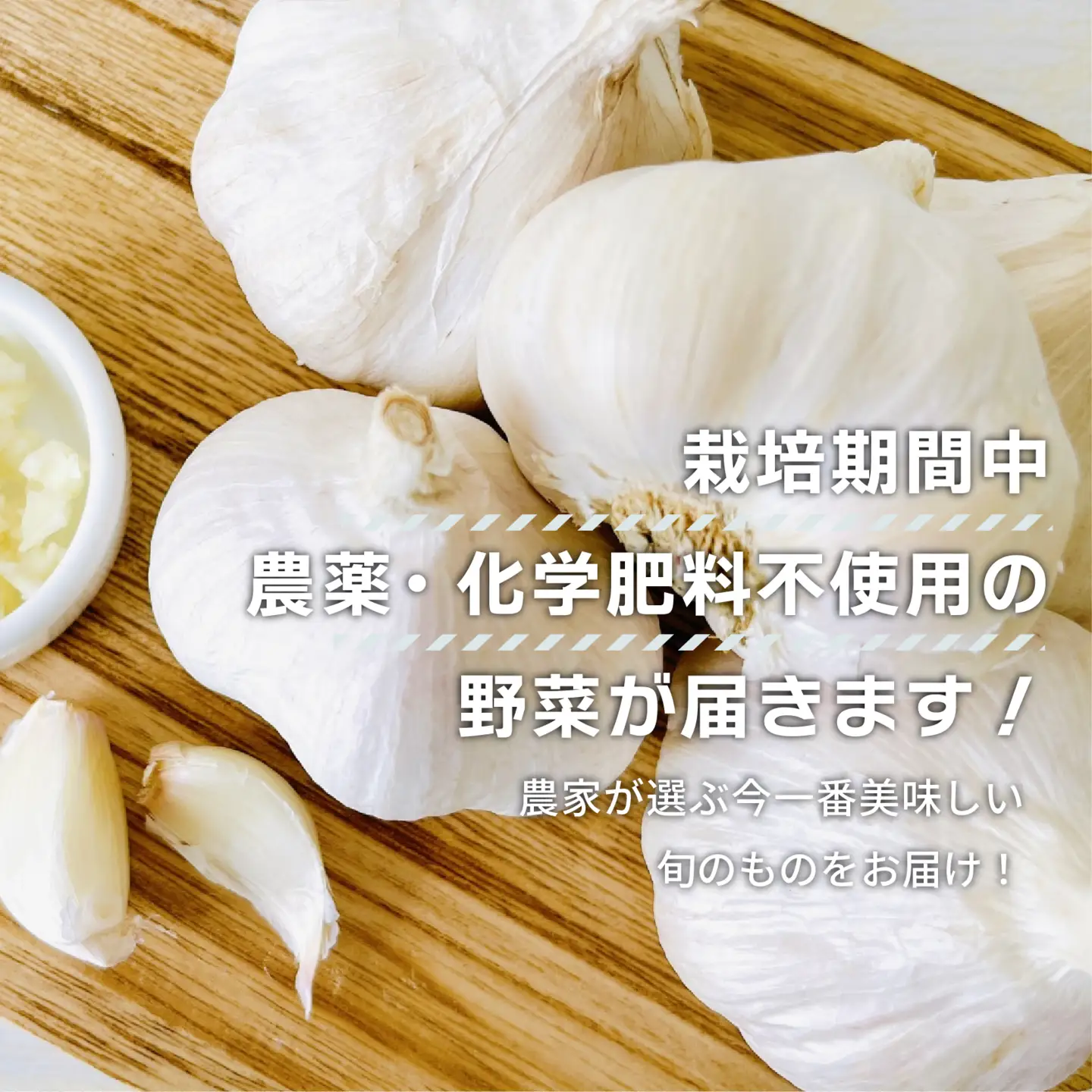 【期間限定】 にんにく 1kg トマトファクトリー 栽培期間中 農薬 化学肥料不使用 ニンニク 