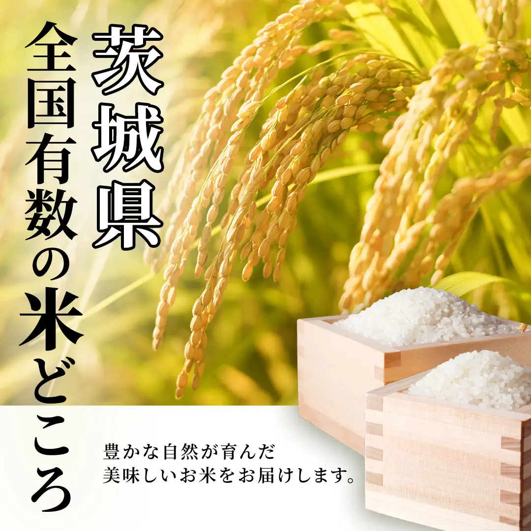 ＼ 令和8年産 新米 先行予約 ／ 【12月上期出荷】 コシヒカリ 5kg（精米） 茨城県つくばみらい市産 │ こしひかり 米 コメ こめ 単一米 限定 茨城県産 国産 美味しい お米 おこめ おコメ つくばみらい市