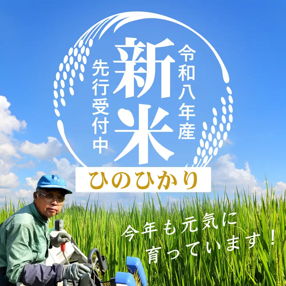 【令和8年産 新米！】《先行予約》 ひのひかり 約10kg（5kg×2袋） ID-7｜ 2026年産 主食 鹿児島県 南大隅 白米 米 こめ コメ 5キロ 10キロ ご飯 大自然のお米 国産 産地直送 送料無料 池田農産
