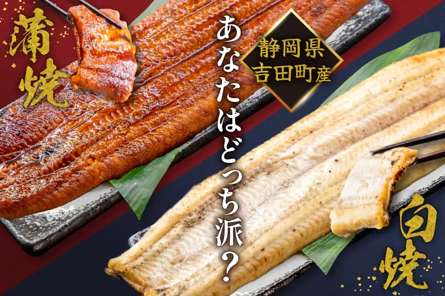 うなぎ 国産 静岡 うなぎ蒲焼 白焼 各130g 以上 各 1尾 計 2尾 6回 計12尾 タレ 山椒 付き
