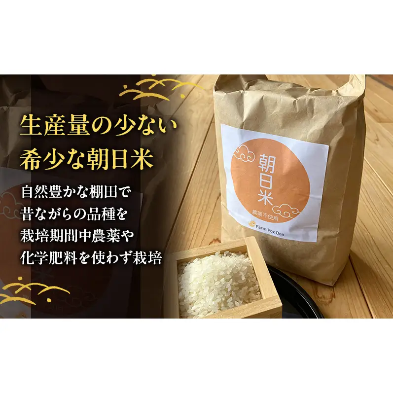 先行受付 農薬不使用 白米 ホタル舞う里山の棚田米 精米10kg 令和8年産 朝日2kg×5袋