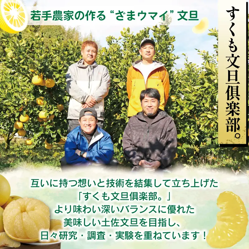 極み 土佐文旦 家庭用 10kg 文旦